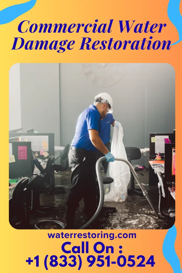 Commercial Water Damage Restoration in Lakota, IA